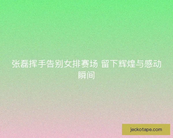 张磊挥手告别女排赛场 留下辉煌与感动瞬间